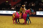 Quadrille - 00616